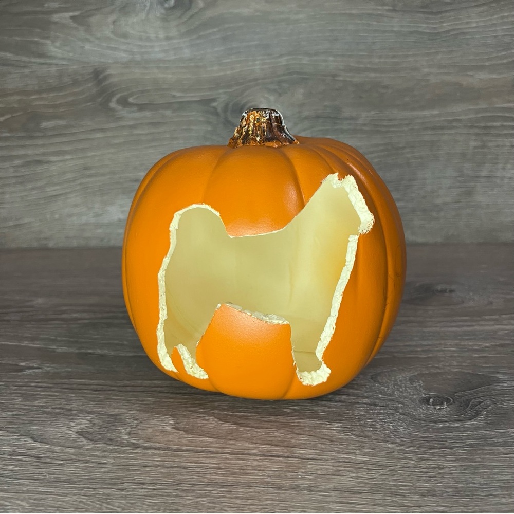 Mini Pumpkin Dog Carving Decoration